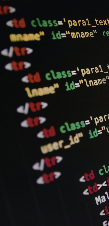 Basic CSS