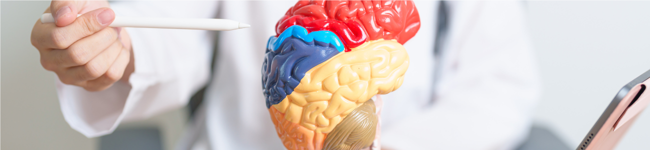 Boost Brain Health
