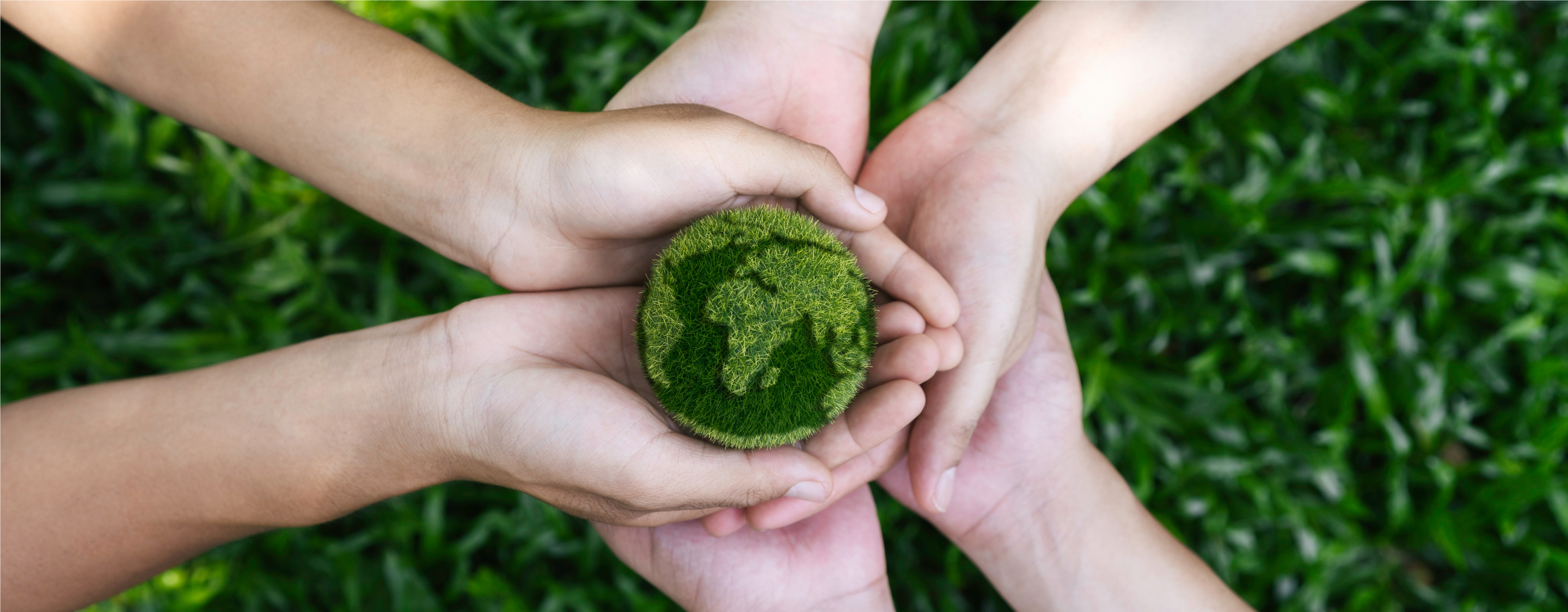 A Sustainable Future