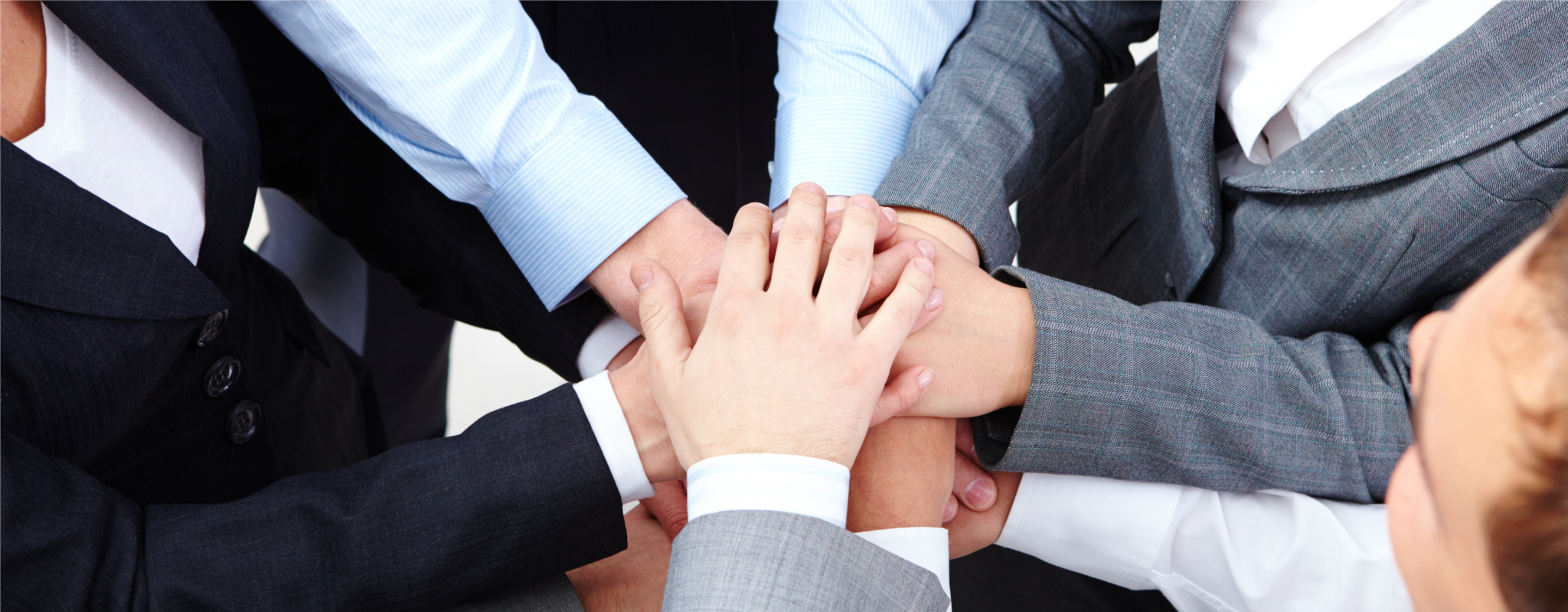 Elements of Career Personality Types