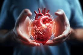 All About Heart Diseases