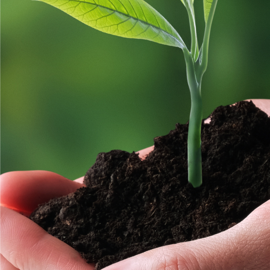 A Sustainable Future