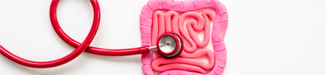 Transform Your Gut Health