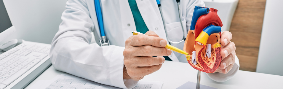 All About Heart Diseases
