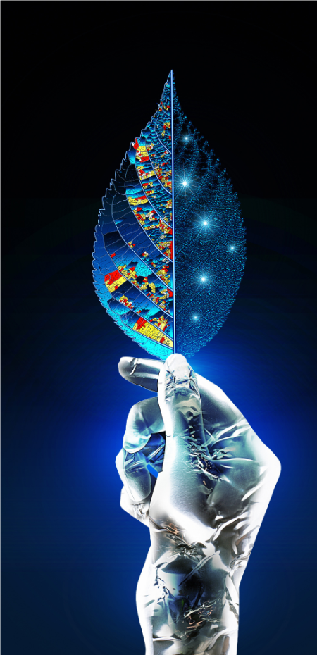 AI Essentials: An Intermediate Experience