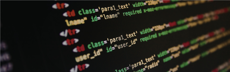 Basic CSS