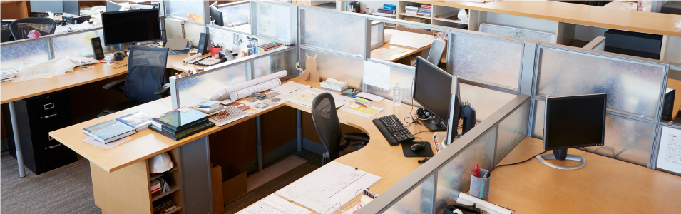 Workplace Basics